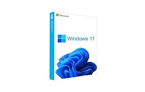 Windows 11 Pro Upgrade - Perpetual Software License